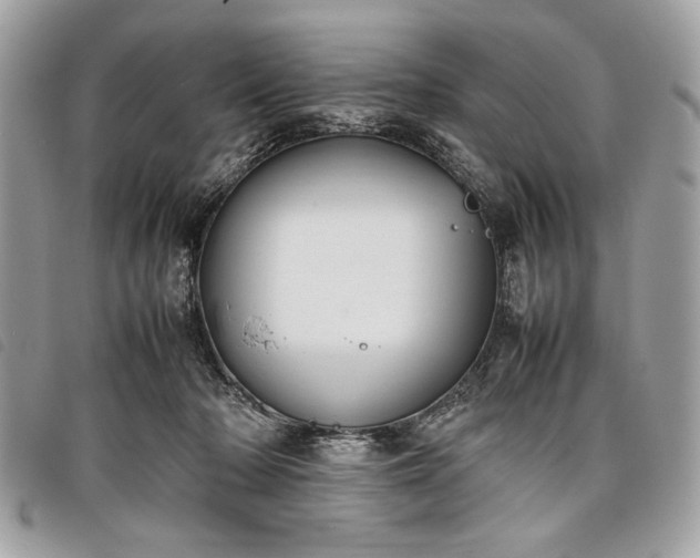 X0000098020318200804071400