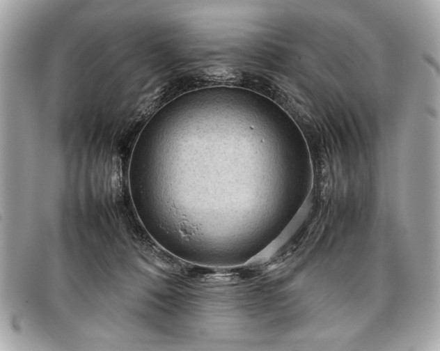 X0000098020320200804071400