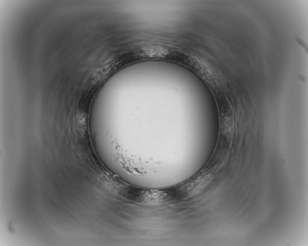 X0000098020321200804071400