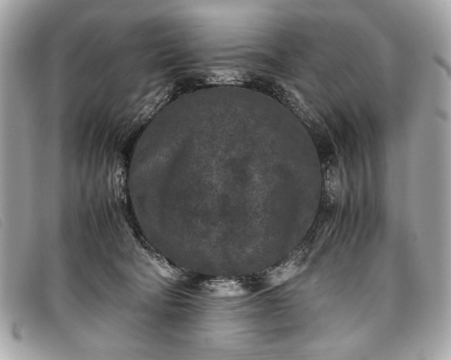 X0000098020322200804071400