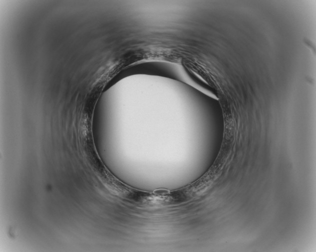 X0000098020323200804071400