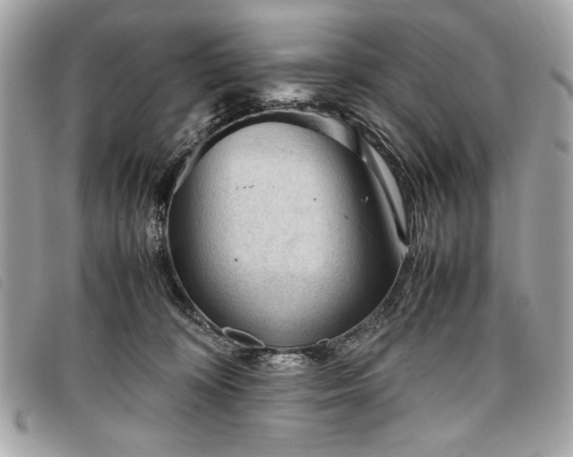 X0000098020324200804071400