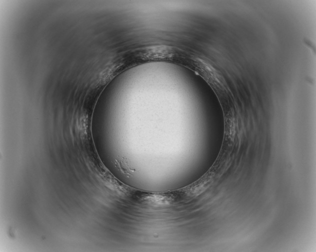 X0000098020326200804071400