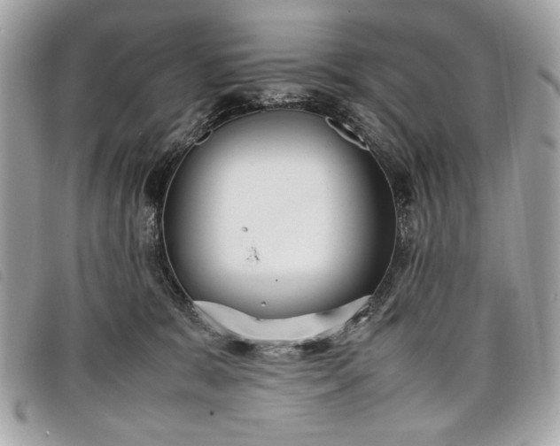 X0000098020327200804071359