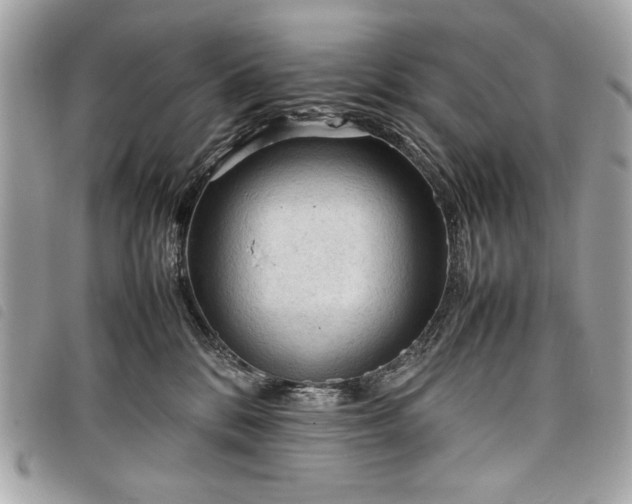 X0000098020328200804071359