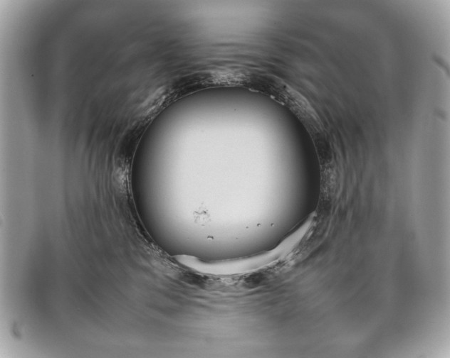 X0000098020329200804071359