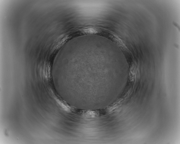 X0000098020330200804071359