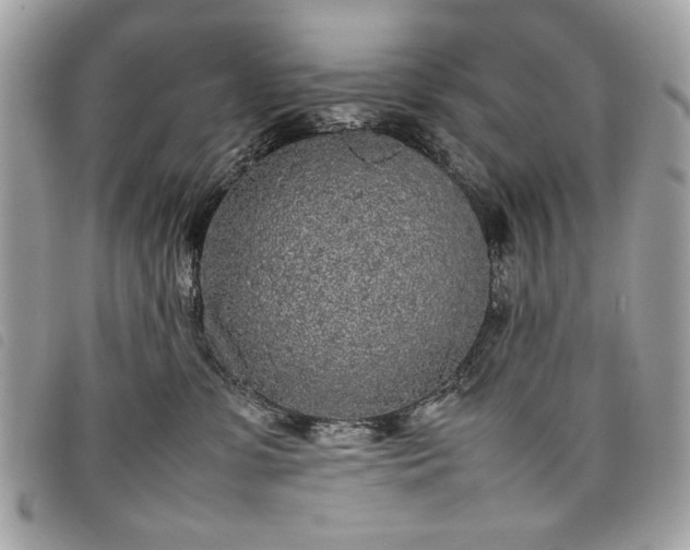 X0000098020331200804071359