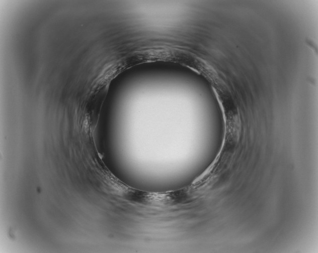 X0000098020333200804071359