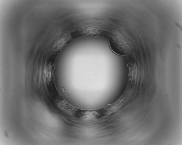 X0000098020334200804071359