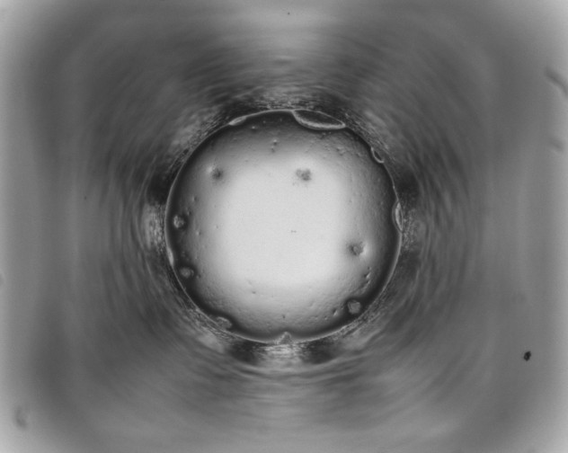 X0000098020335200804071359