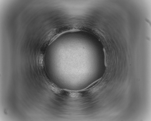 X0000098020336200804071359