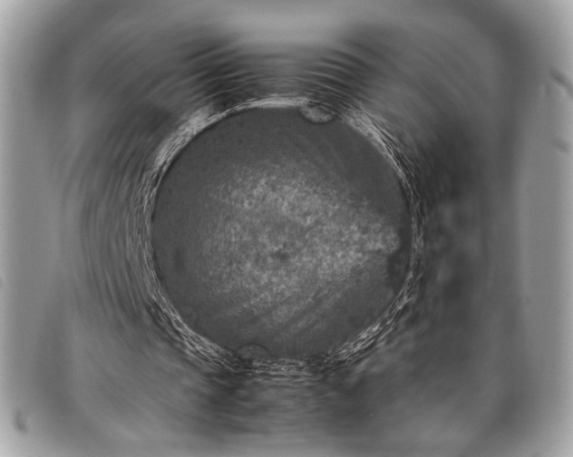 X0000098020337200804071359