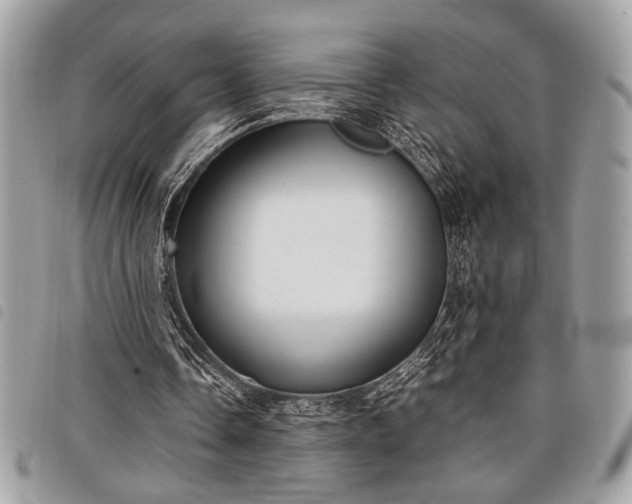 X0000098020338200804071359