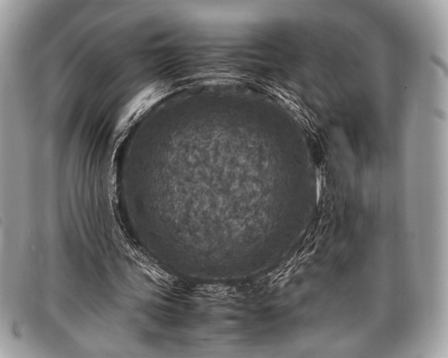 X0000098020339200804071359