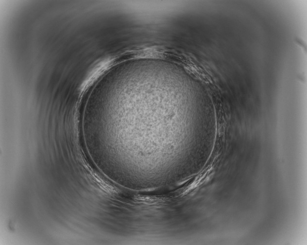 X0000098020341200804071359