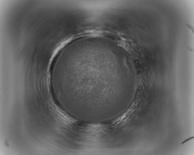 X0000098020342200804071359