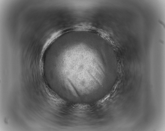 X0000098020343200804071359