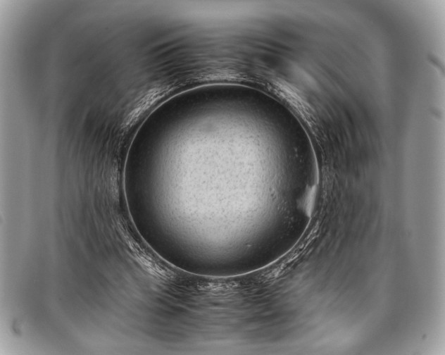 X0000098020345200804071359