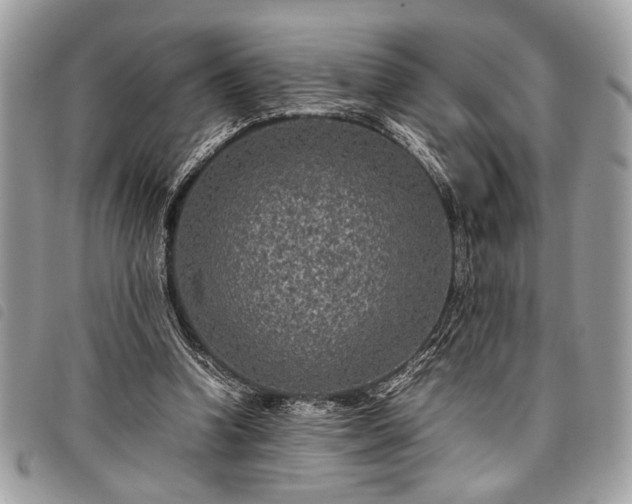 X0000098020346200804071359