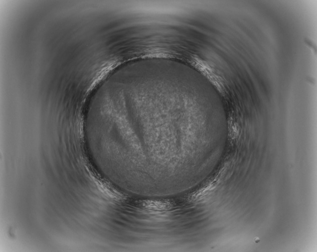 X0000098020347200804071359