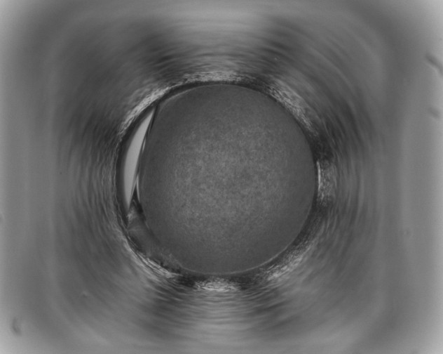 X0000098020348200804071359