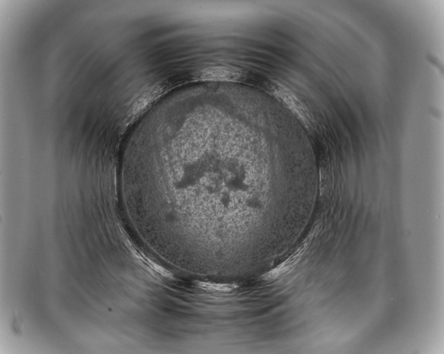 X0000098020349200804071359