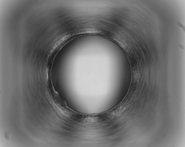 X0000098020350200804071359