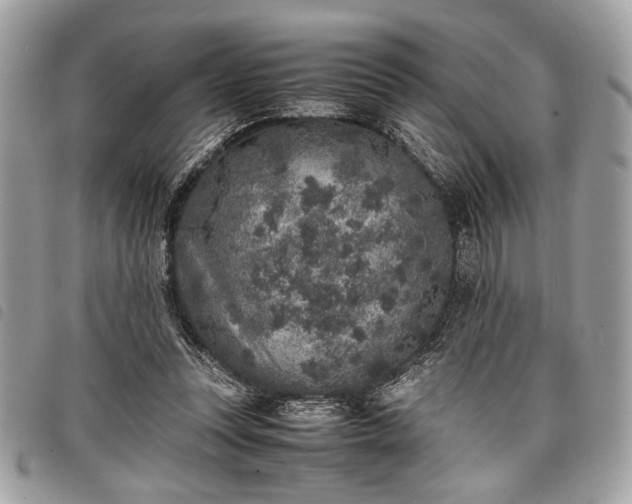 X0000098020351200804071359