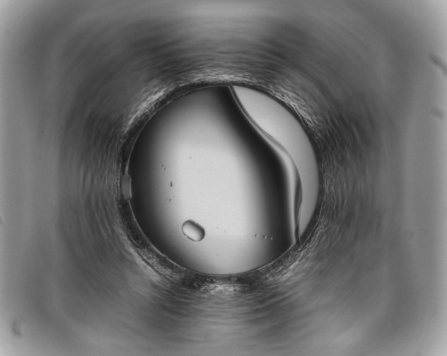 X0000098020352200804071359