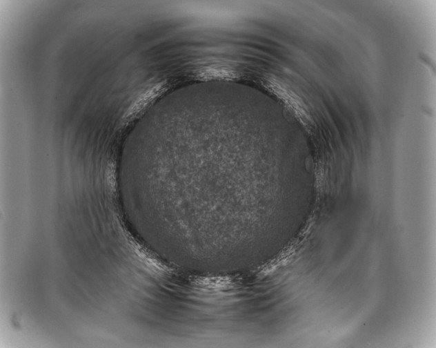 X0000098020353200804071359