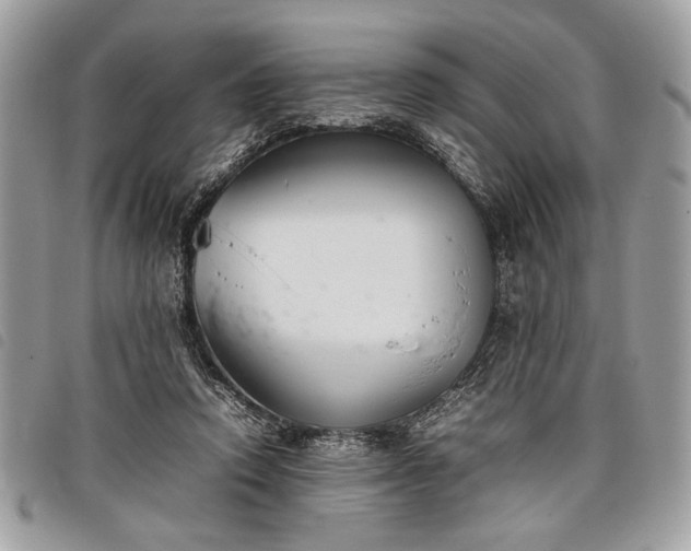 X0000098020354200804071359