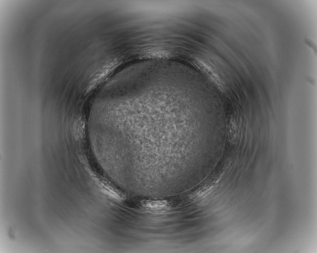 X0000098020355200804071359