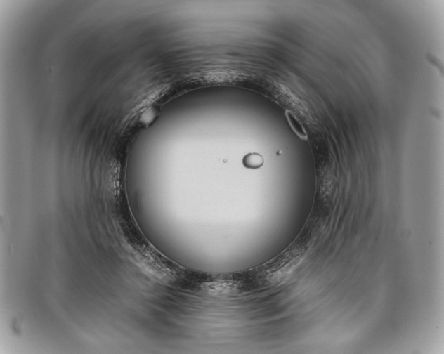 X0000098020356200804071359