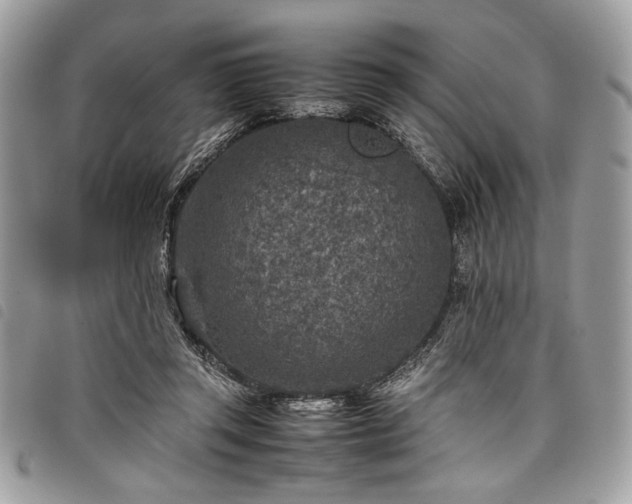 X0000098020357200804071359