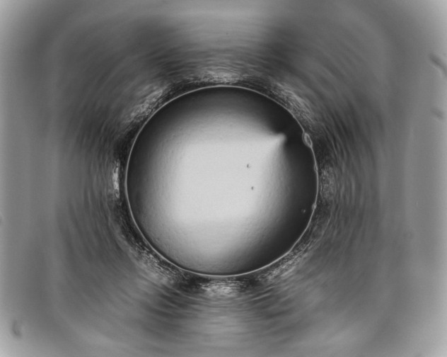 X0000098020358200804071359