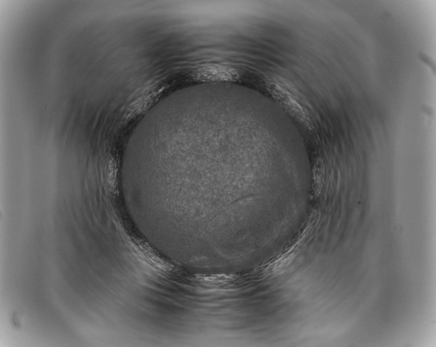 X0000098020359200804071359