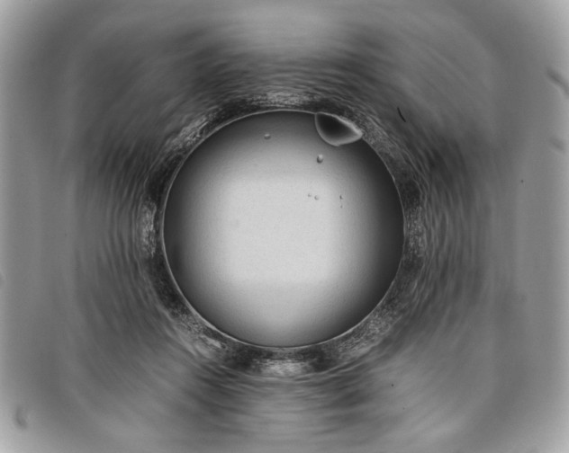 X0000098020360200804071359