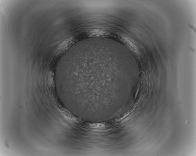 X0000098020361200804071359