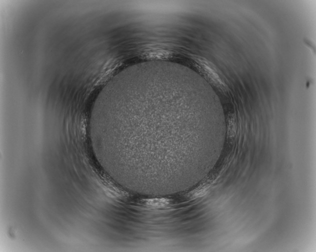 X0000098020363200804071359