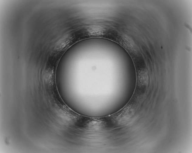 X0000098020364200804071359