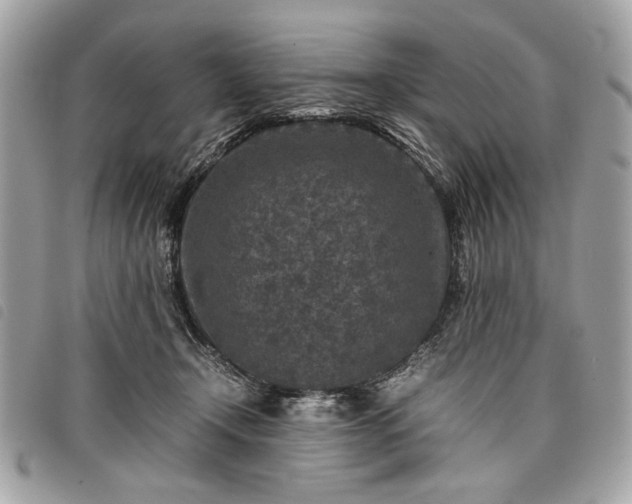 X0000098020366200804071359