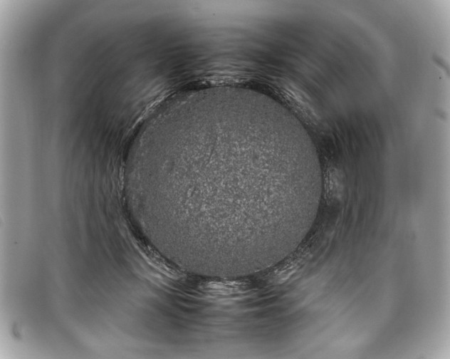 X0000098020367200804071359