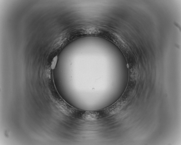 X0000098020368200804071359