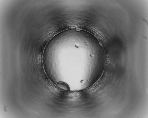 X0000098020369200804071359