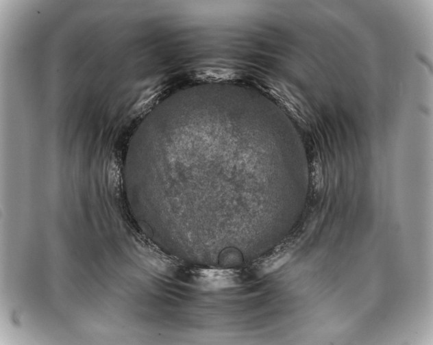 X0000098020371200804071359