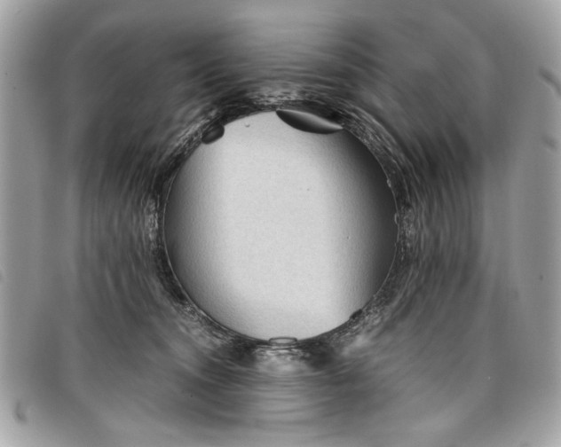 X0000098020372200804071359