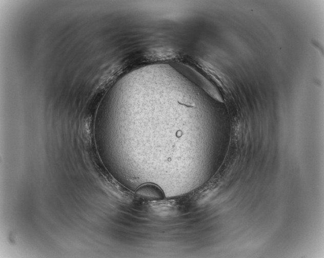 X0000098020373200804071359