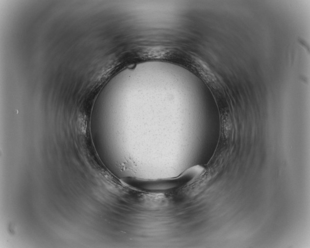 X0000098020374200804071359