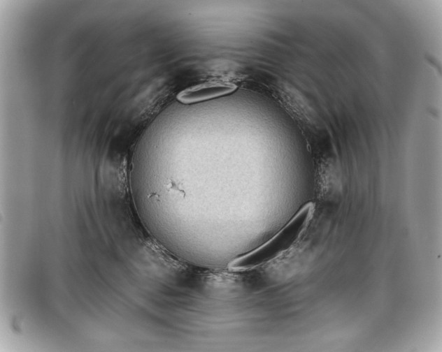 X0000098020376200804071359